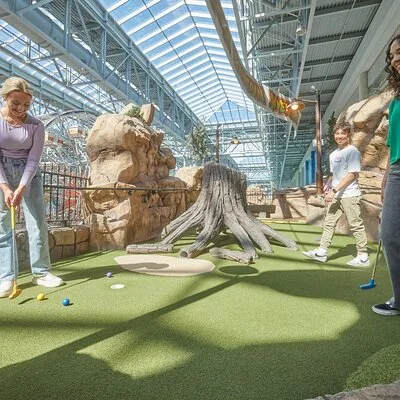 Moose Mountain Adventure Golf in Mall of America